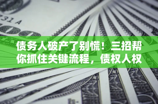 武汉债务人破产了别慌！三招帮你抓住关键流程，债权人权益不再缩水