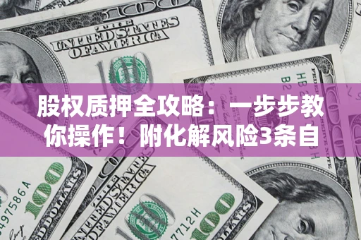 武汉股权质押全攻略：一步步教你操作！附化解风险3条自救法则