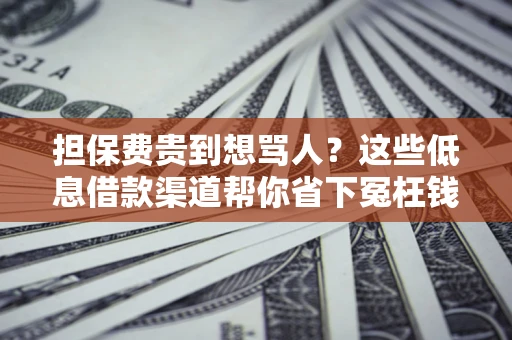 武汉担保费贵到想骂人？这些低息借款渠道帮你省下冤枉钱