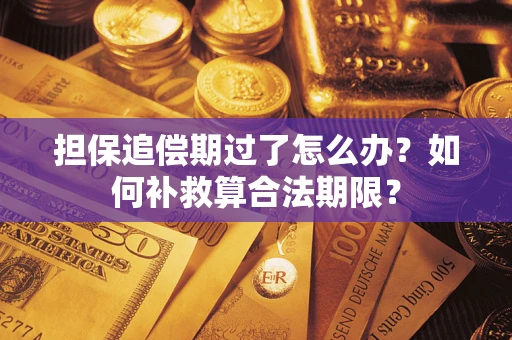 武汉担保追偿期过了怎么办？如何补救算合法期限？