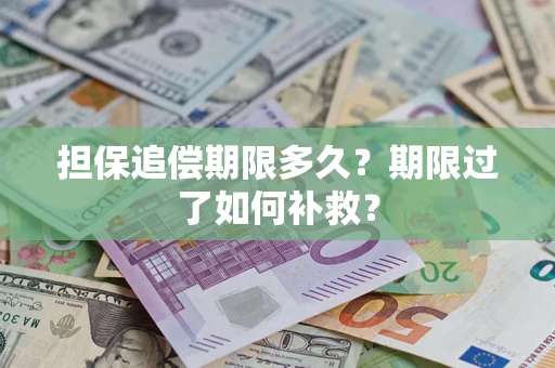 武汉担保追偿期限多久？期限过了如何补救？