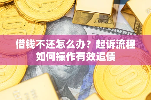 武汉借钱不还怎么办？起诉流程如何操作有效追债