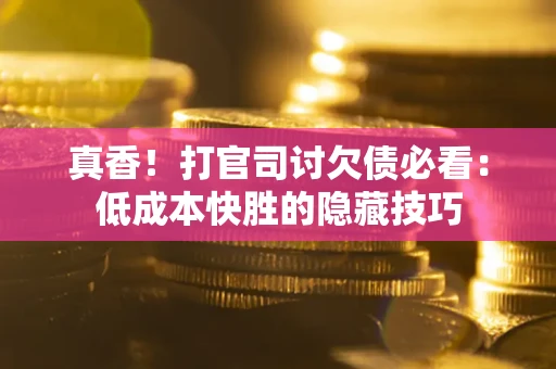 武汉真香！打官司讨欠债必看：低成本快胜的隐藏技巧