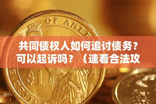 武汉共同债权人如何追讨债务？可以起诉吗？（速看合法攻略）