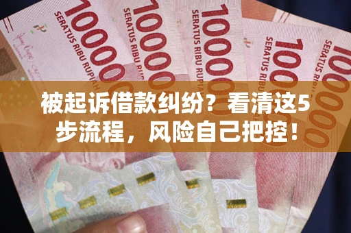 武汉被起诉借款纠纷？看清这5步流程，风险自己把控！