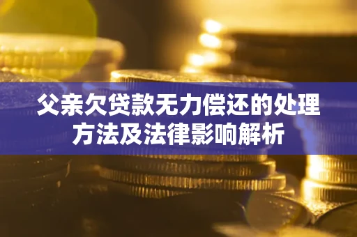 武汉父亲欠贷款无力偿还的处理方法及法律影响解析